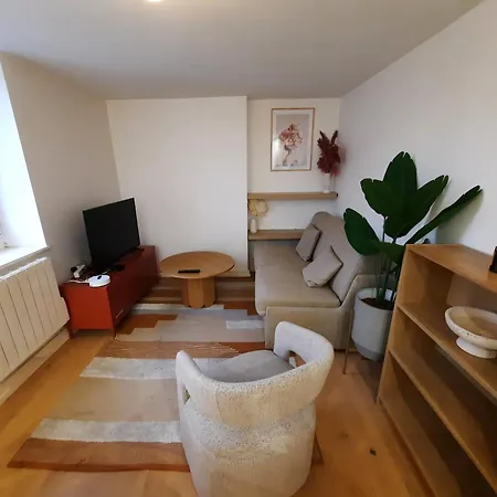 Le Vercingetorix - Charme Et Confort Dijon